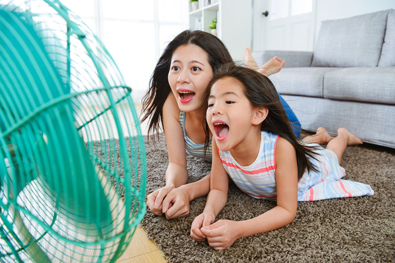 Air Conditioner for the Summer Heat
